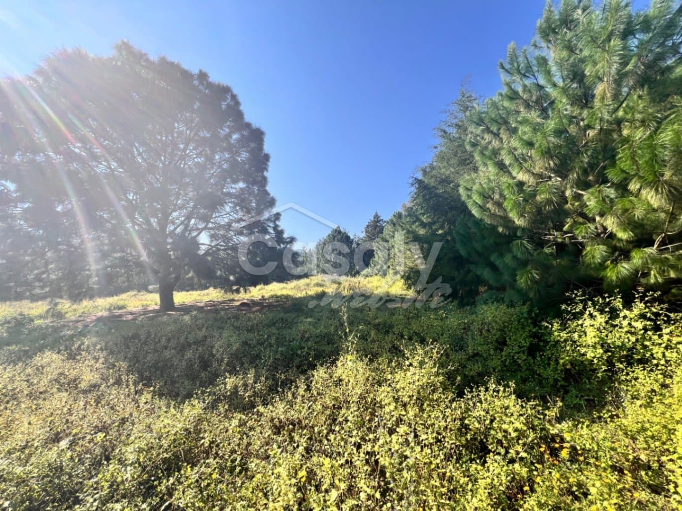 Terreno en Condominio residencial Privado en Tapalpa — foto 2