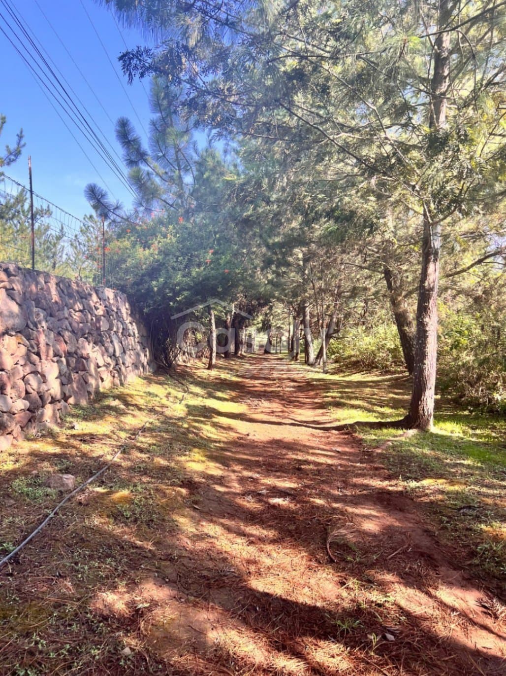 Terreno en Condominio residencial Privado en Tapalpa — foto 3