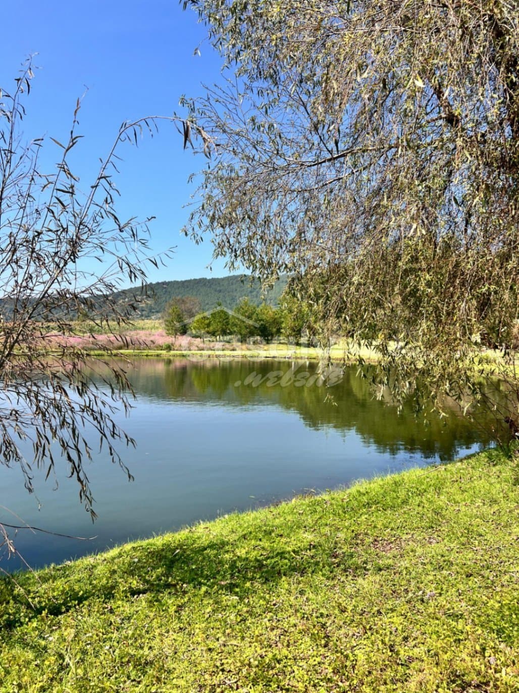 Terreno en Condominio residencial Privado en Tapalpa — foto 4